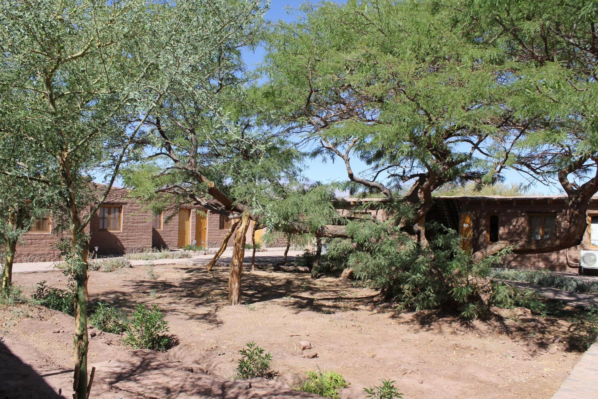 Hotel Casa Don Esteban سان بيدرو دي أتاكاما المظهر الخارجي الصورة