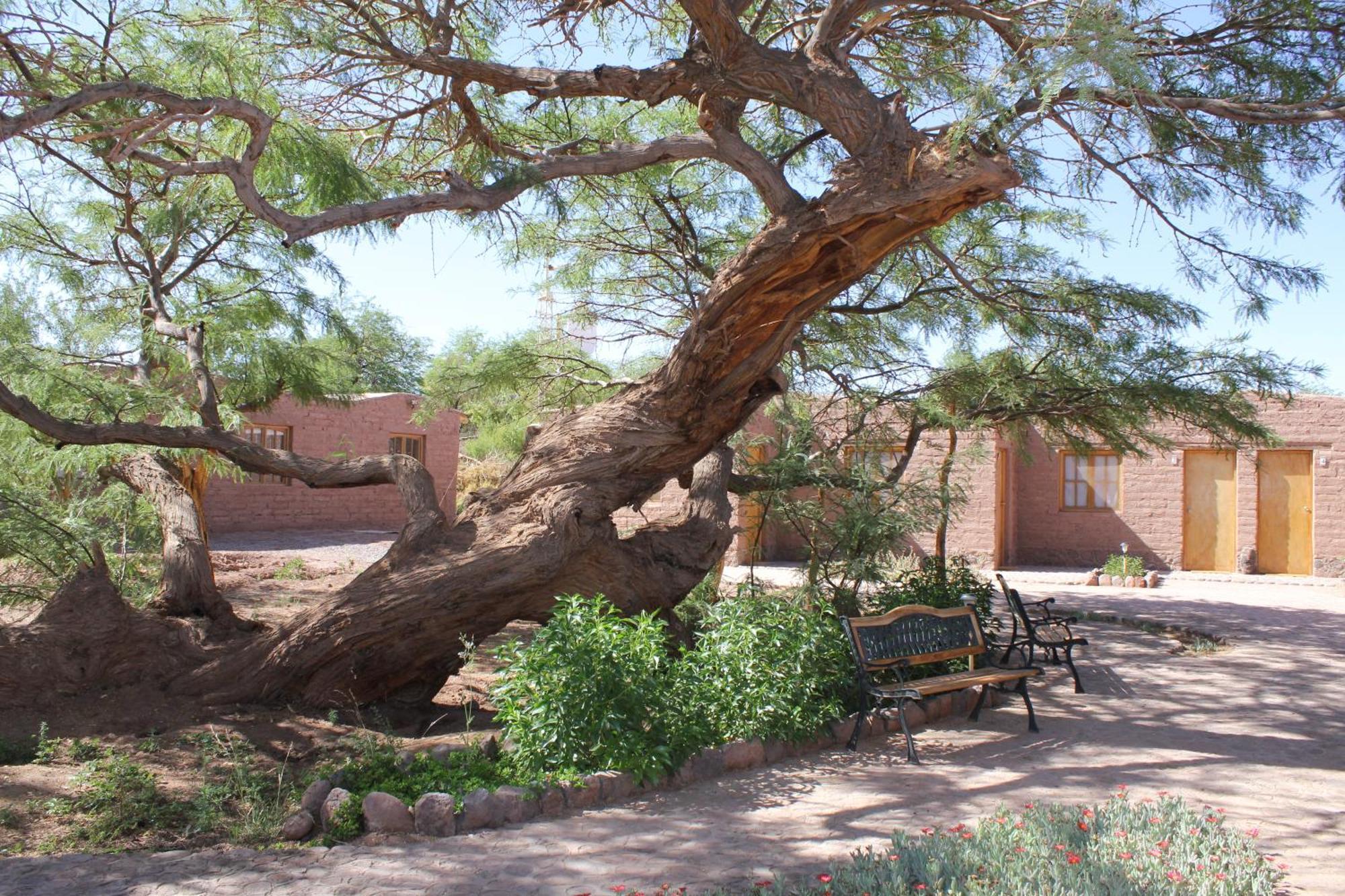 Hotel Casa Don Esteban سان بيدرو دي أتاكاما المظهر الخارجي الصورة